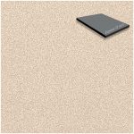 Formica® Compacto Fenólico Beige Grafix 1.52 X 3.65 Mts Espesor 12 mm.